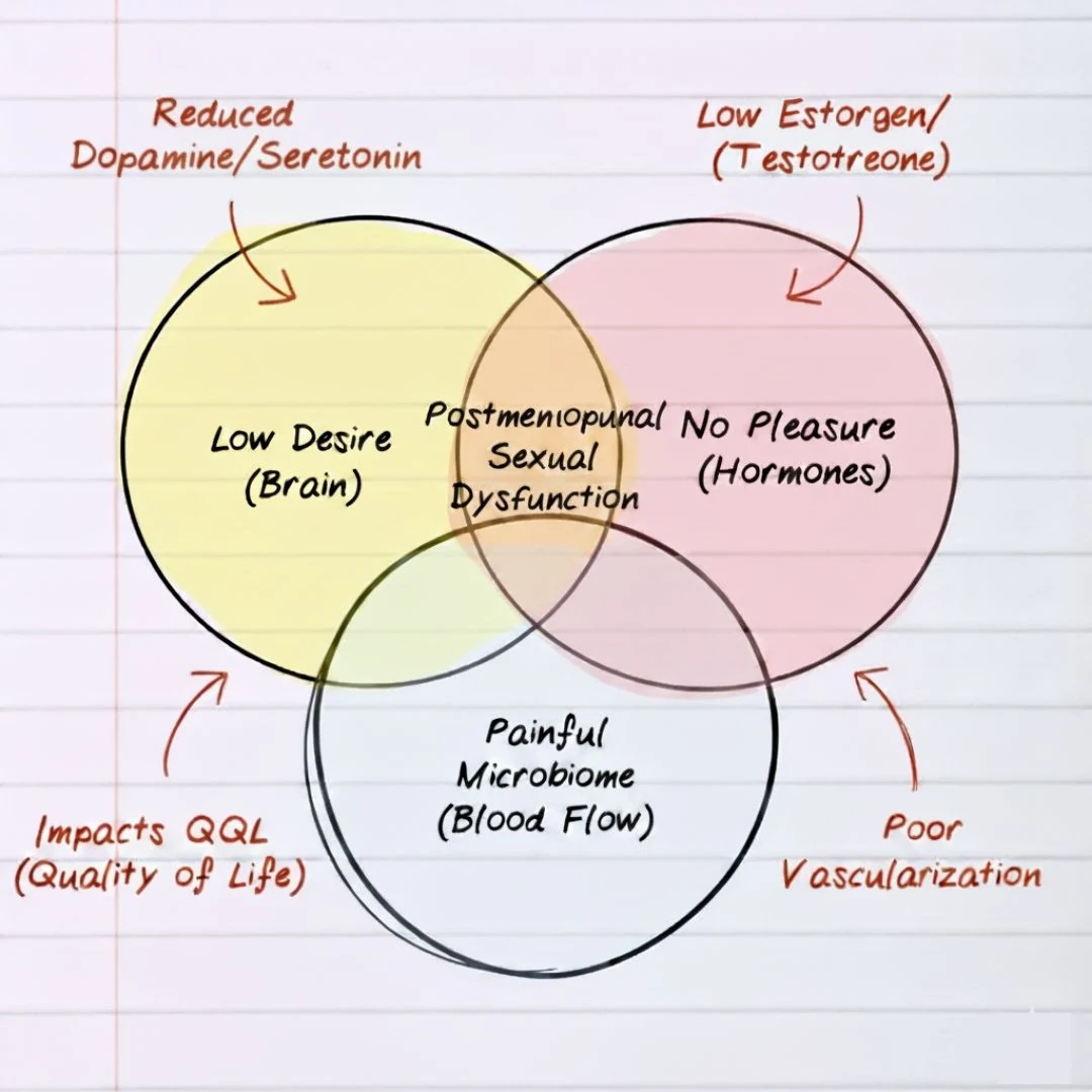 Three-circle diagram showing desire, pleasure response, and blood flow